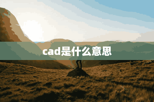 cad是什么意思